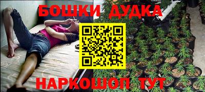 PSILOCYBIN Усть-Илимск